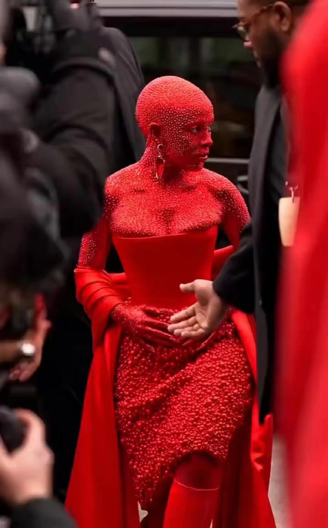 豆荚猫红色造型秀场,豆荚猫秀场图片