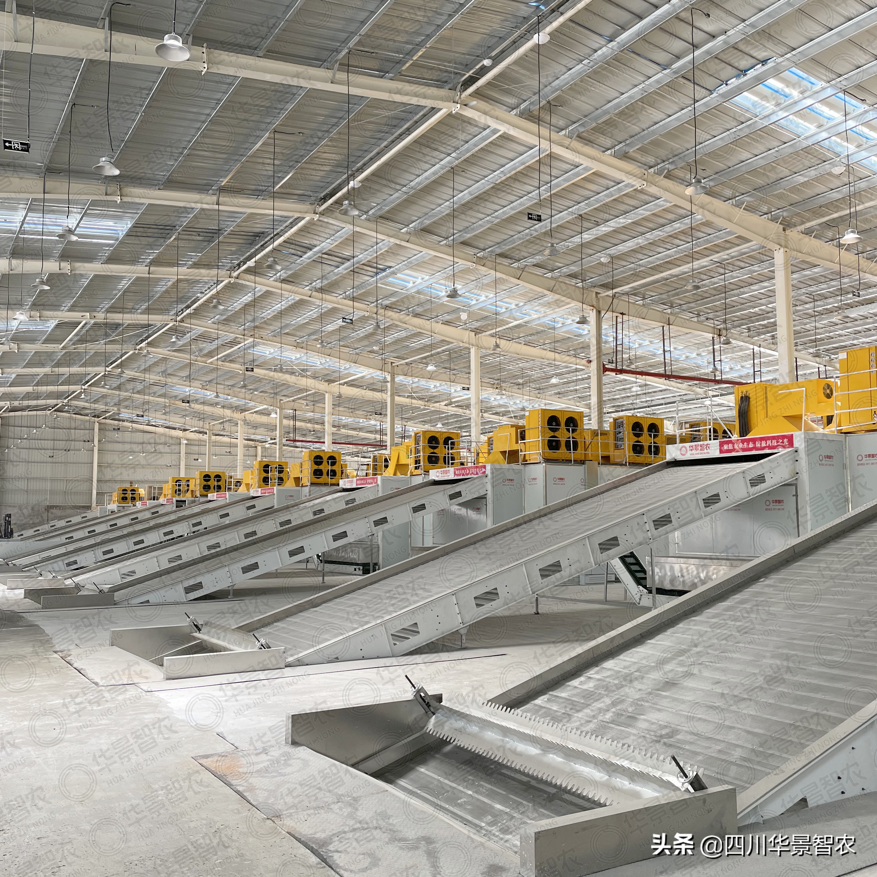 烘干机药材科普,烘干设备知识点