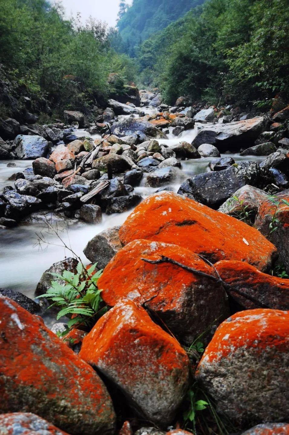 理县版MBTI来了，点击解锁小城性格→