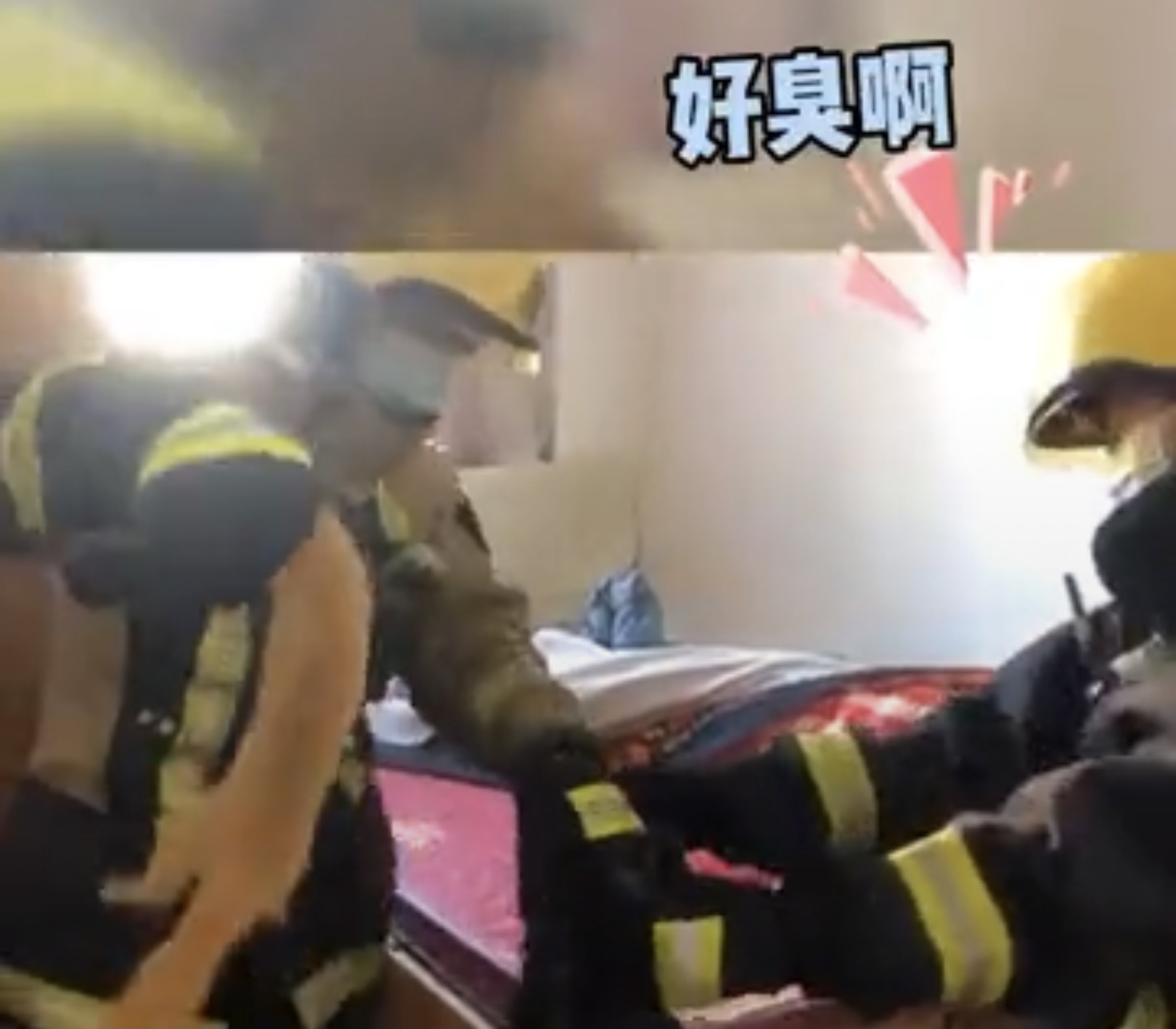 黄鼠狼溜进消防队臭屁暗算消防员,家中溜进黄鼠狼消防员被熏吐