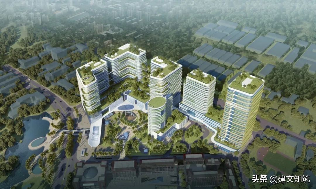 waf2023世锦赛,waf国内排名