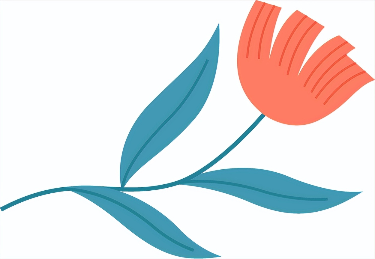 2万粉丝福利获奖名单,粉丝获奖名单