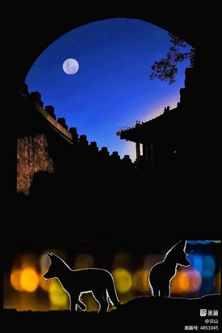 画意风光,画意风光摄影