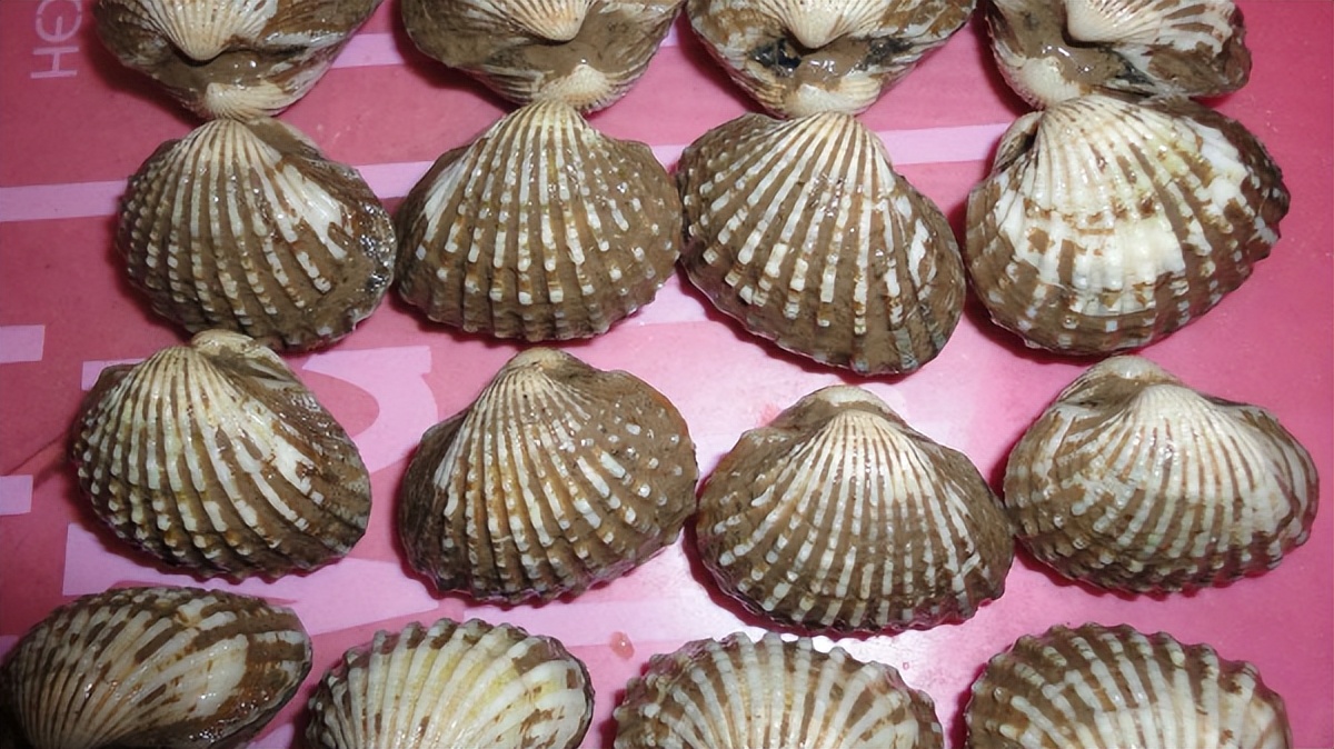 中国地理标志农产品品牌展播,威海市第五届知名农产品