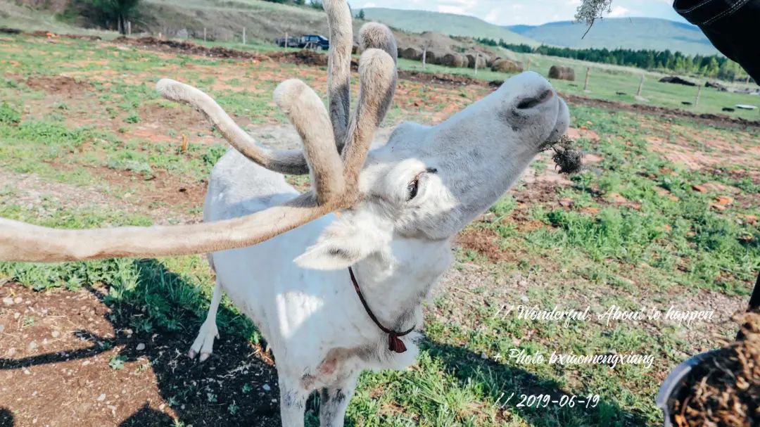 北纬52°1314，这个“为爱而生”的地方，连空气都是甜的