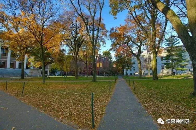 喜欢上一个讨厌的人是什么心理,喜欢上一个讨厌自己的女生怎么办