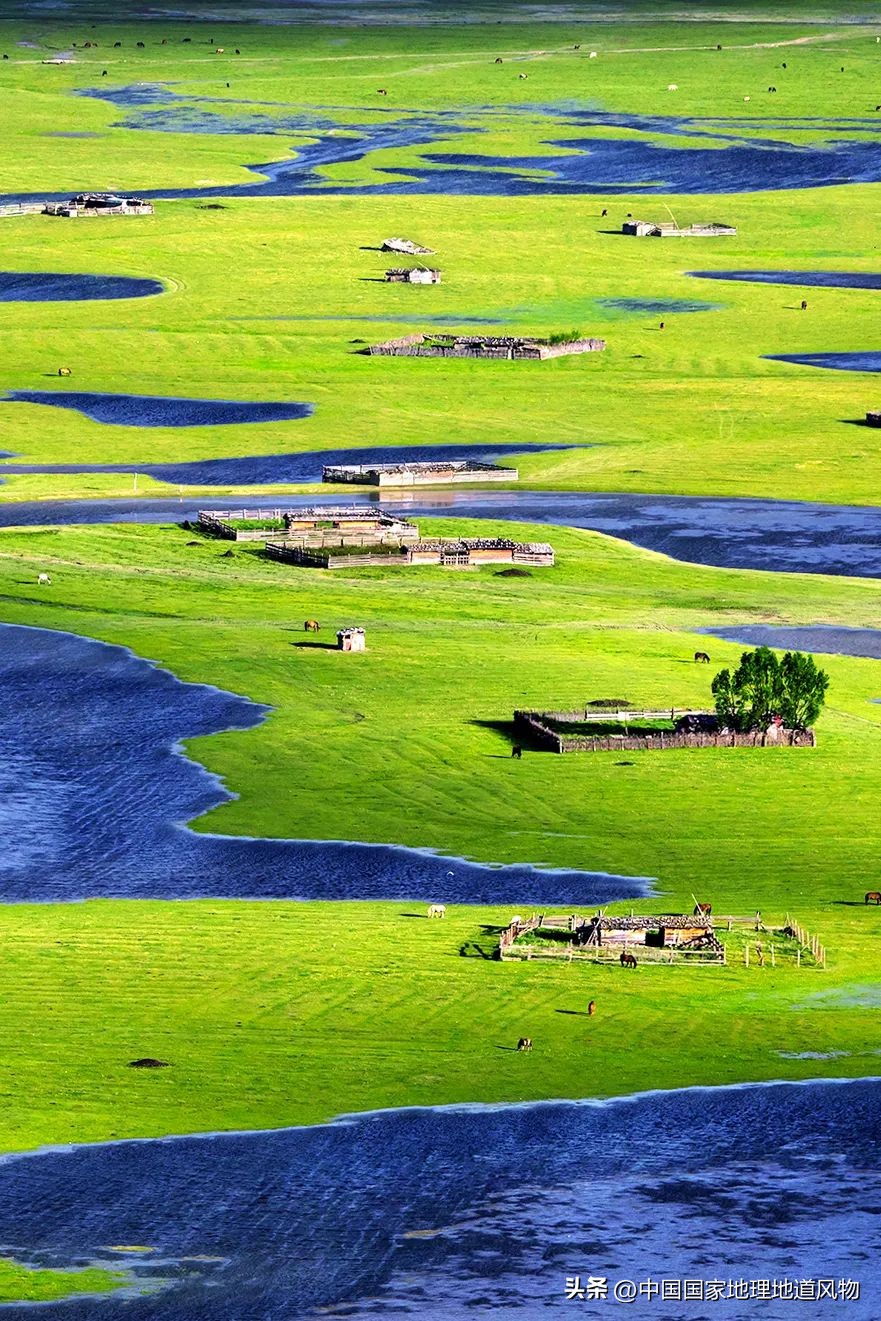 我国哪里盛产火龙果,全国最大的火龙果基地是哪里