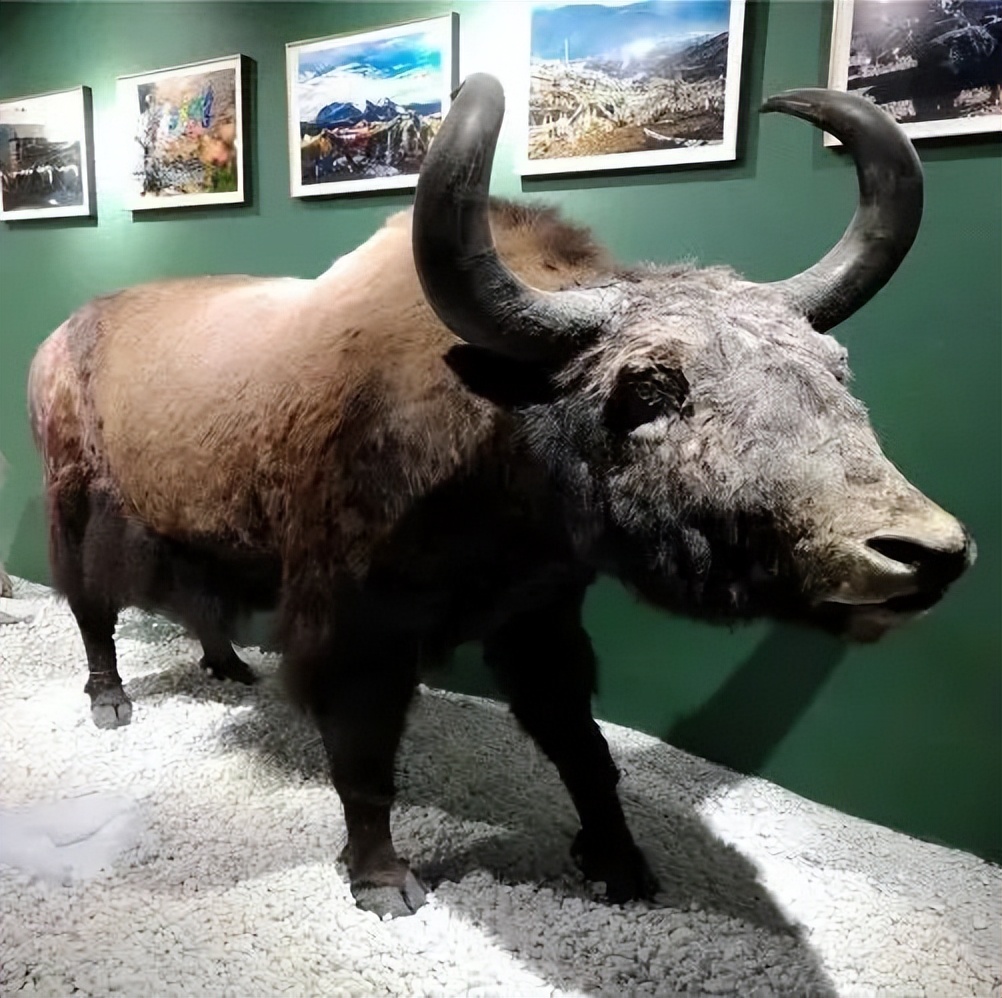 【FENG娱】王佐镇:娱乐+科普+自然,暑假解锁亲子出游新方式!