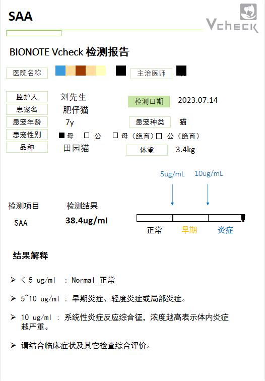 猫咪肝衰竭黄疸怎么治疗,大犬上吐下泻精神萎靡
