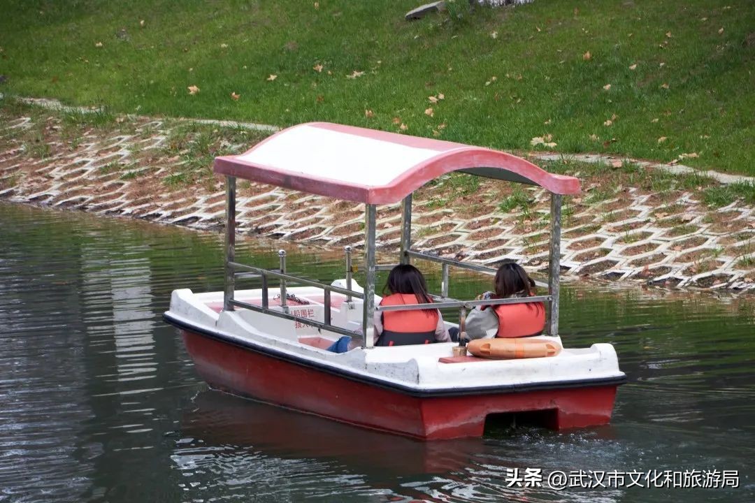 又美丽又好玩的地方,又美又惬意的旅游