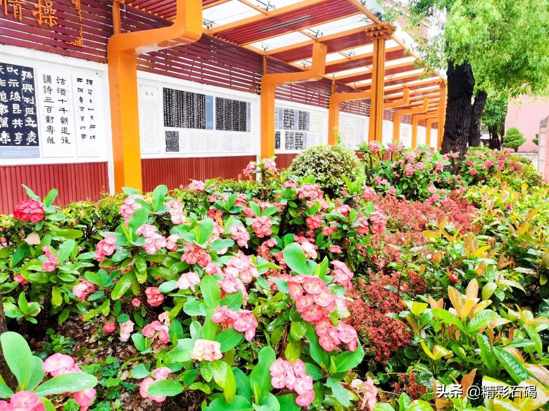 閫夋嫨灏忔槑鏄熸垚灏卞ぇ鏈潵,閫夋嫨鑲叉墠鎴愬氨缇庡ソ鏈潵