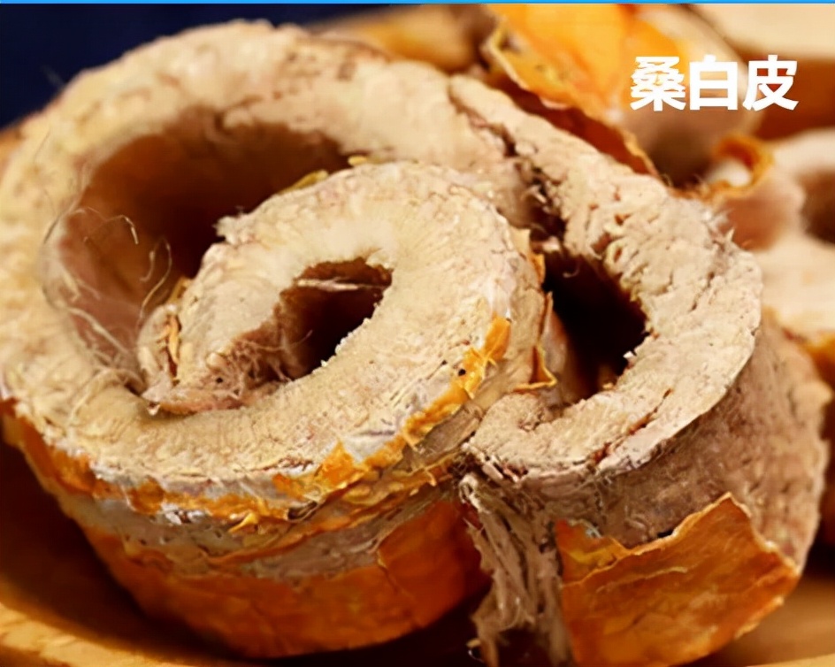 每日一味药桑白皮,与桑白皮有关的中药配方