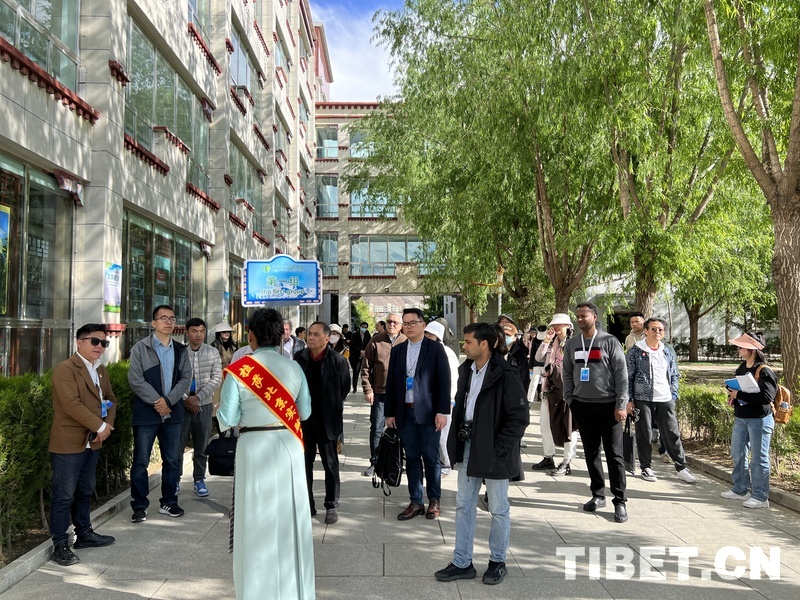 外国人学生来中国参观交流,多国驻华使节参访新疆