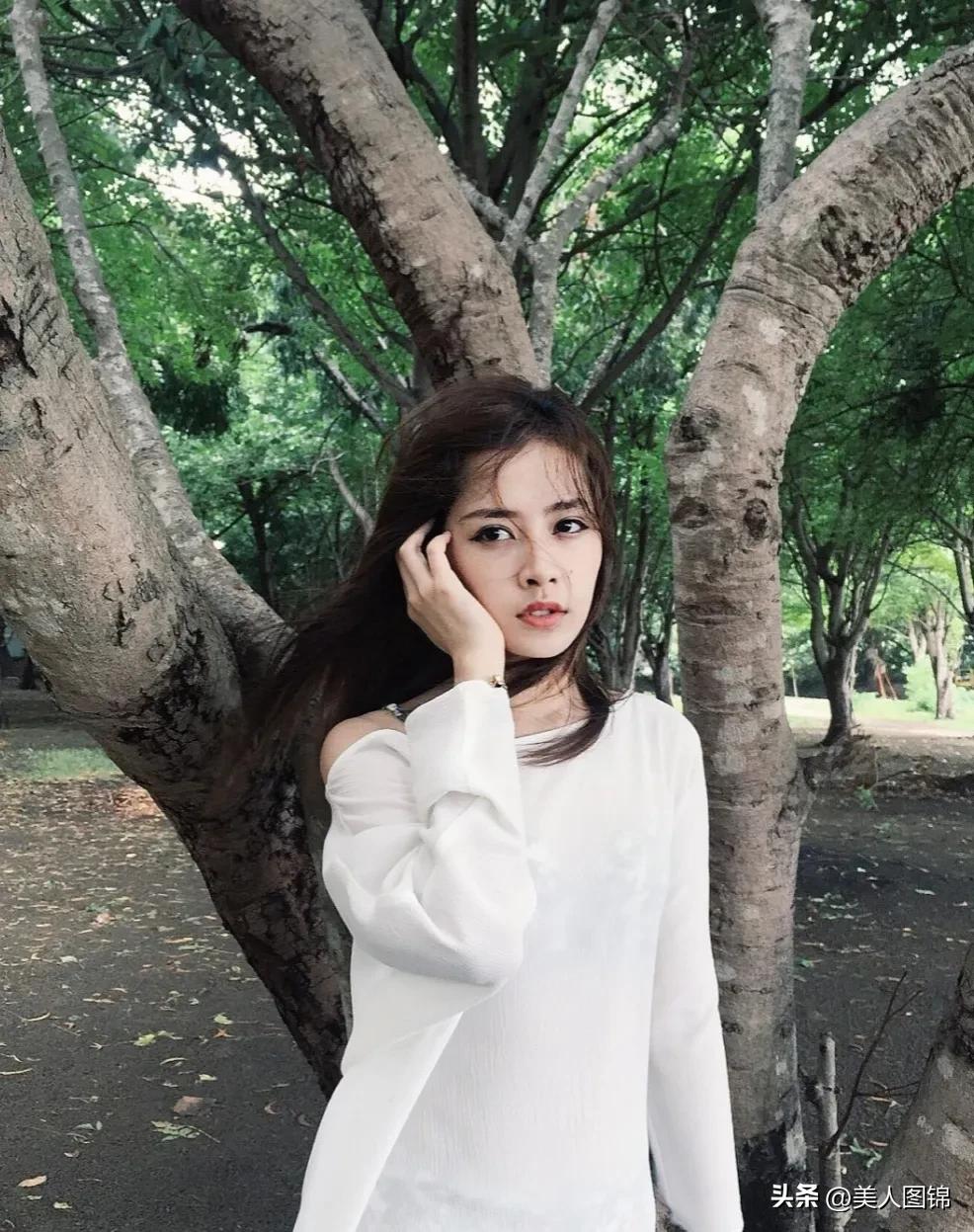 越南芝芙,芝芙越南