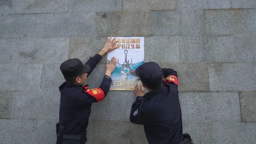 非法捕捞一条鱼垂钓者被罚2000元,非法捕捞者放流百万鱼苗