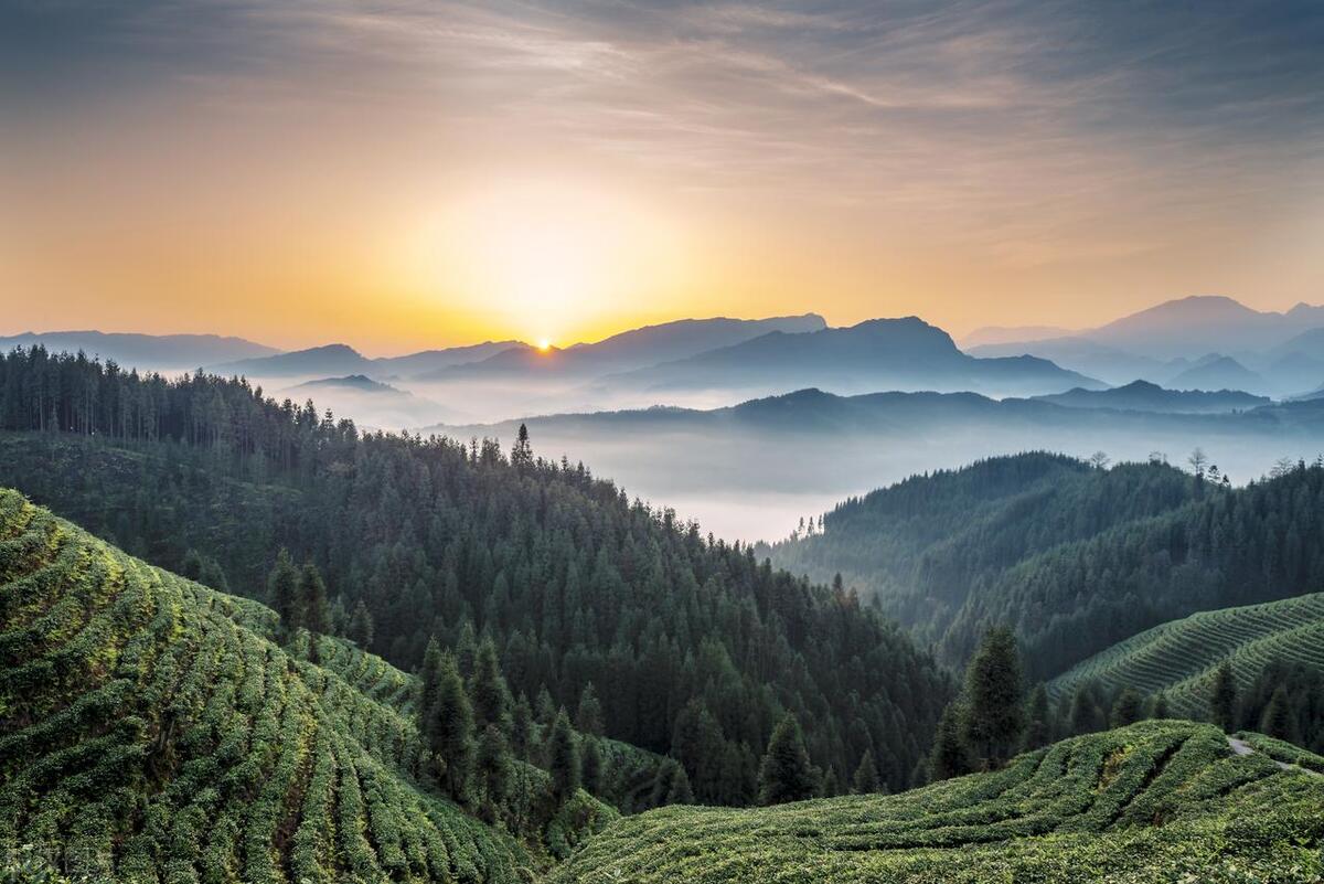 女子疑因打鼾被欺负校方回应,女生寝室打呼噜被8名室友殴打