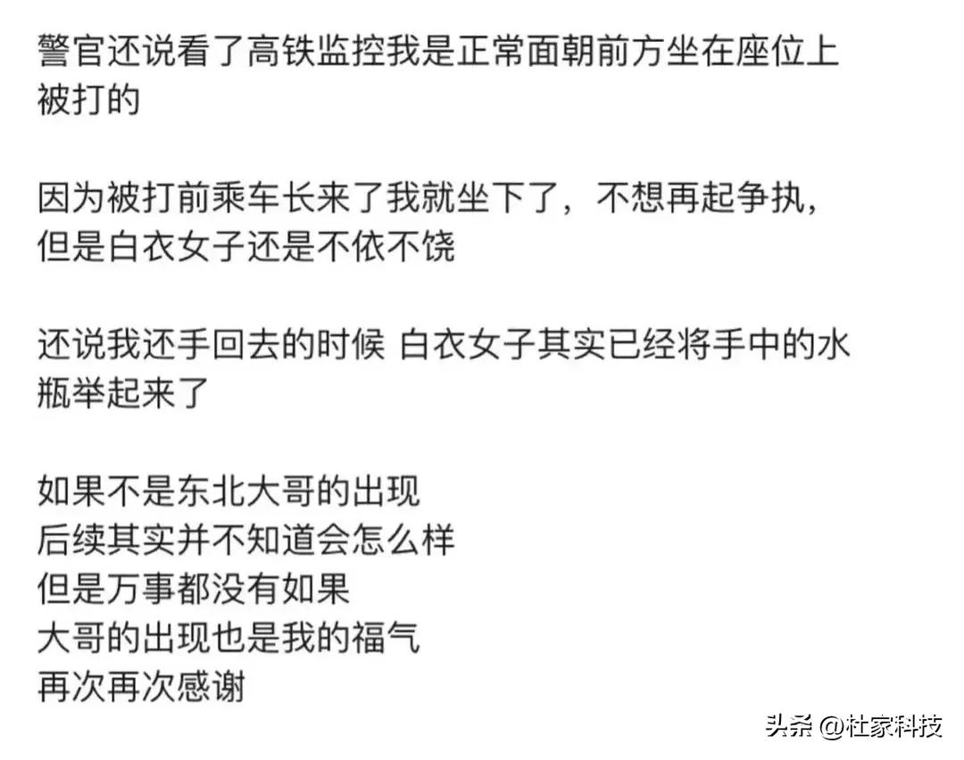高铁被打女孩事件完整版最新消息,高铁打人事件被打女孩