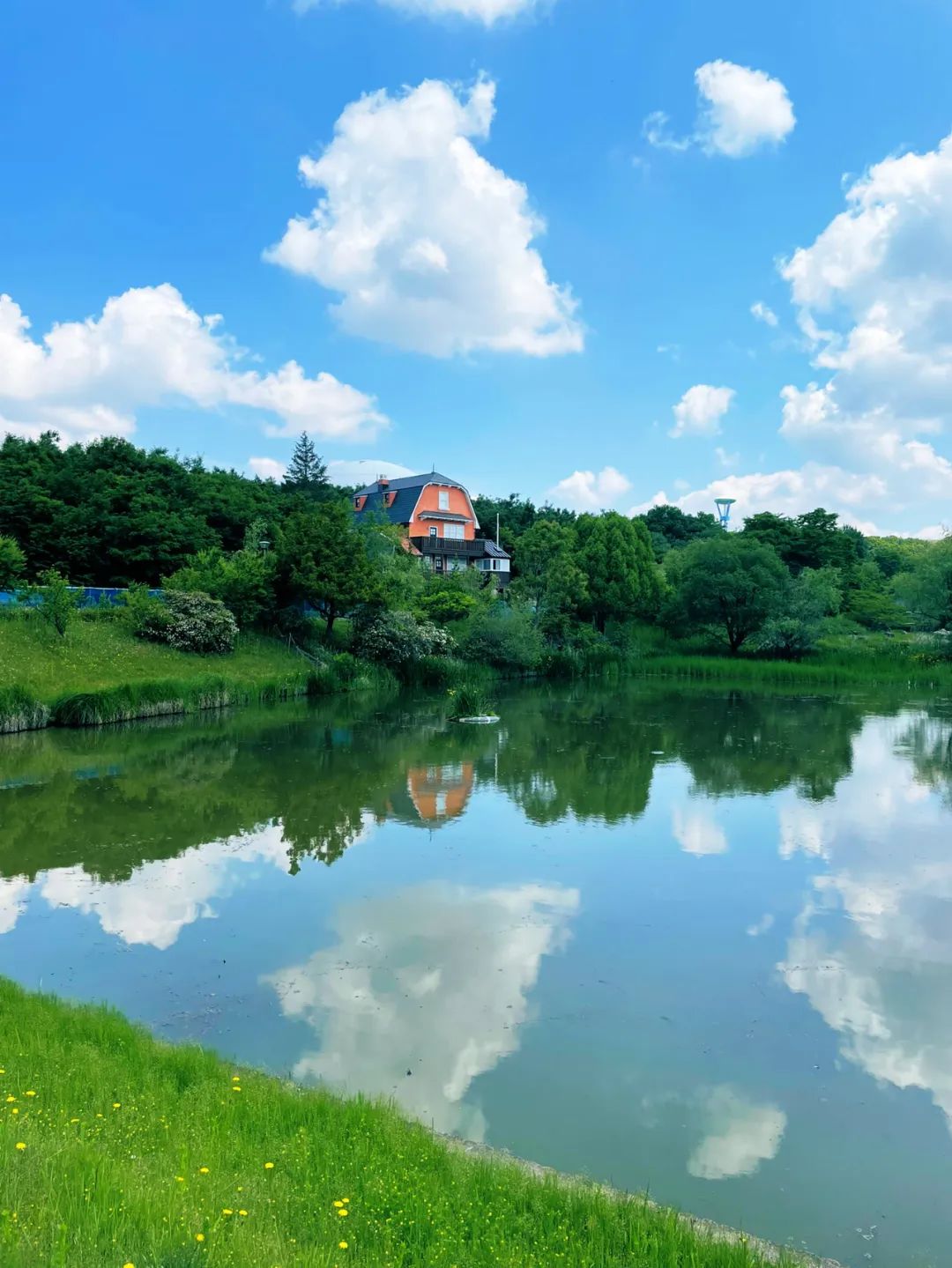 宫崎骏真的退休了吗,宫崎骏退休