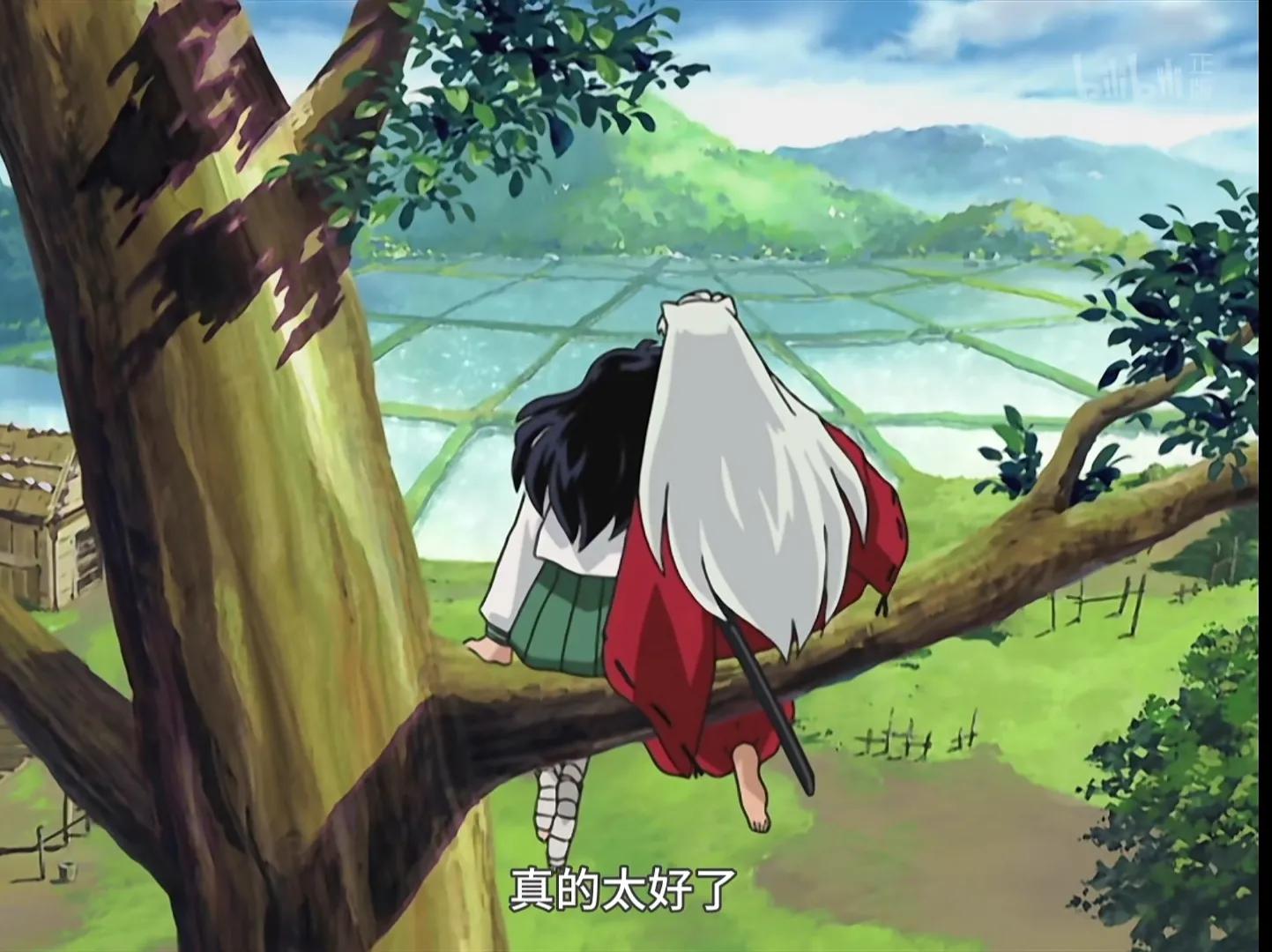 看犬夜叉,犬夜叉第二季有生之年