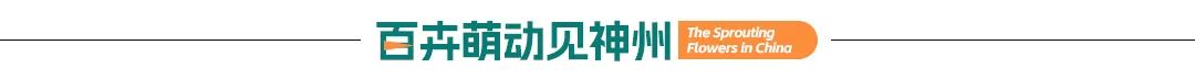 百卉萌动见神州|李堃2024.04