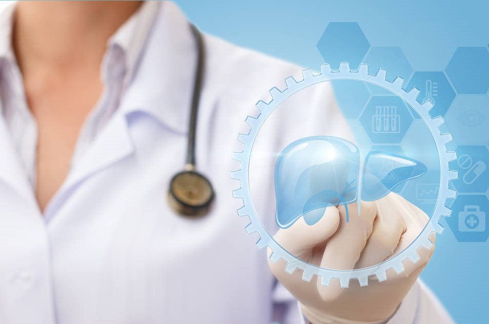 胆红素偏高怎么降,胆红素过高怎么降低