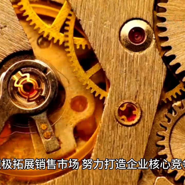 罗西尼手表是哪个国家的品牌,罗西尼旗下有子品牌吗