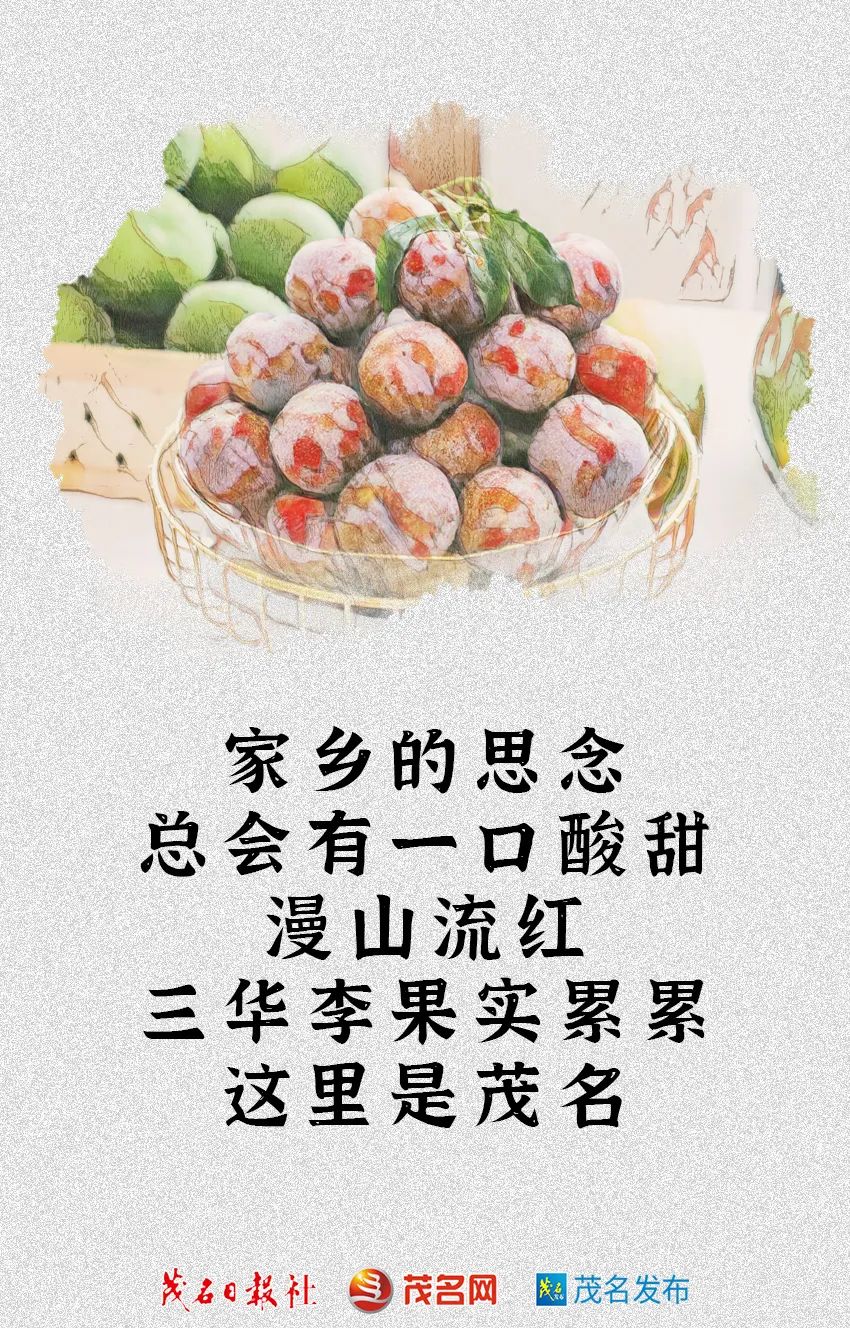 茂名为什么不是省域副中心城市,茂名是一个慢节奏的城市