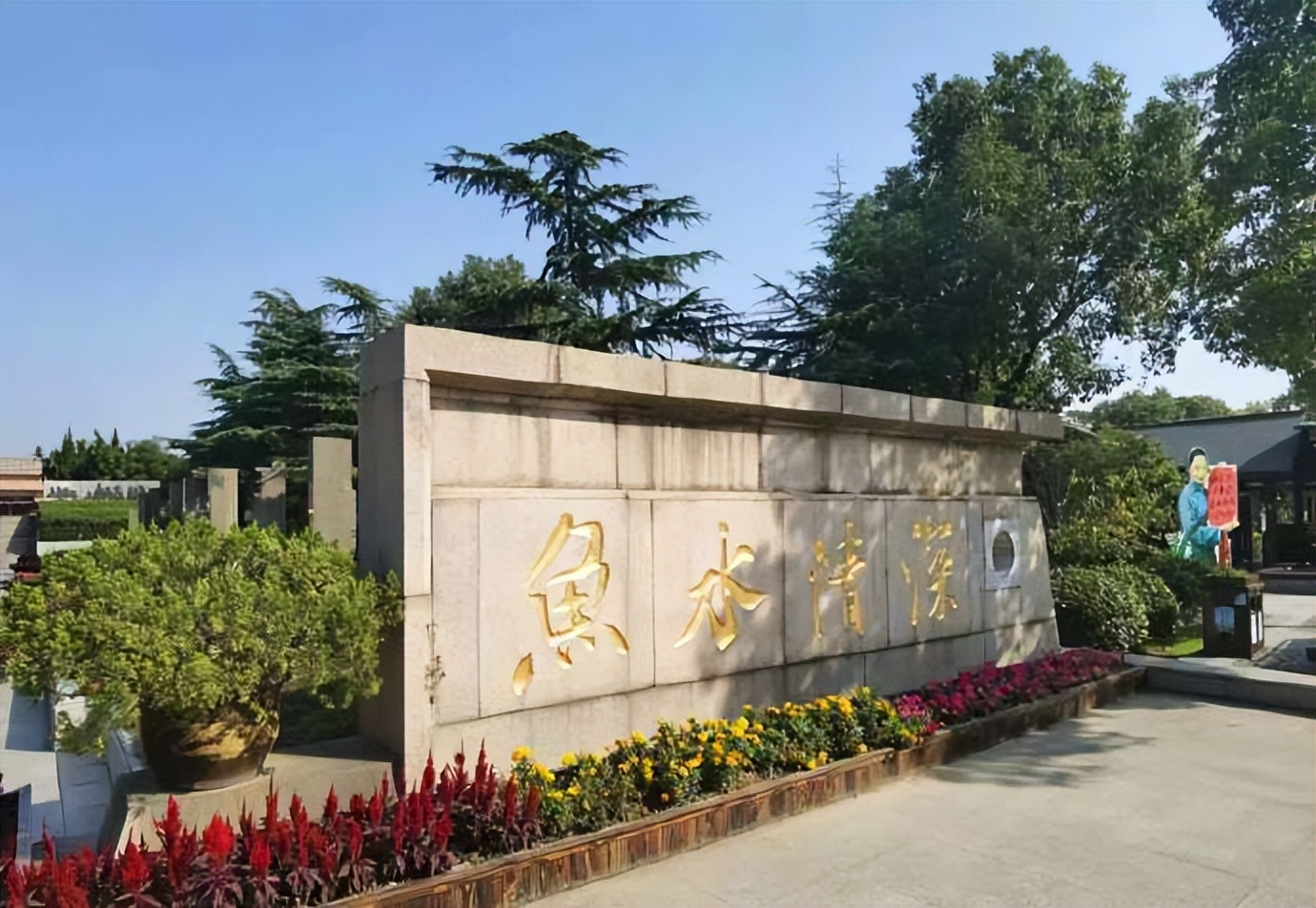 京剧沙家浜经典唱段芦荡火种,在芦荡深处寻找不一样沙家浜