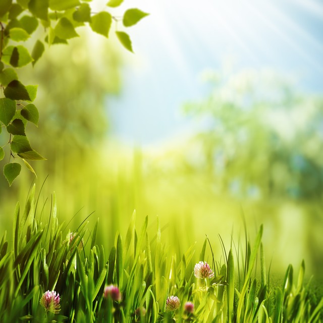 中年老公出轨是选择原谅还是离婚,老公爱上了别人却又不肯离婚