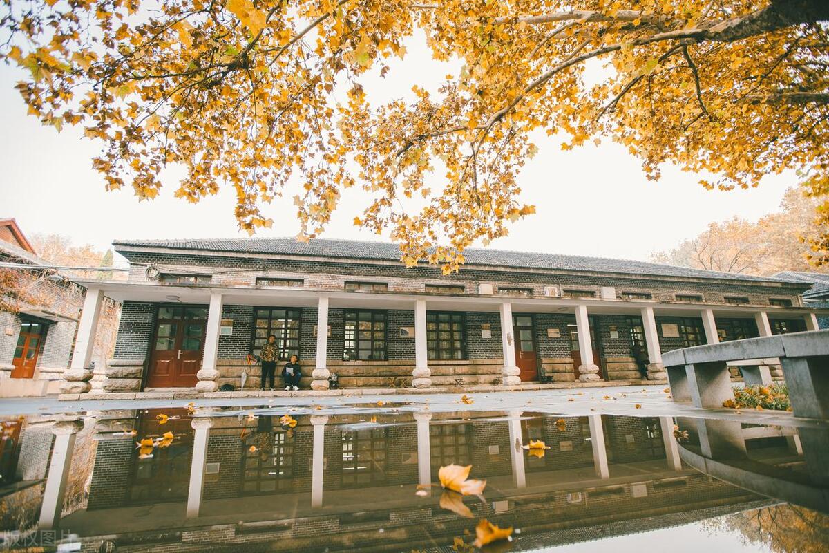 世界互联网大会数字文明尼山对话,尼山世界互联网大会参会名单