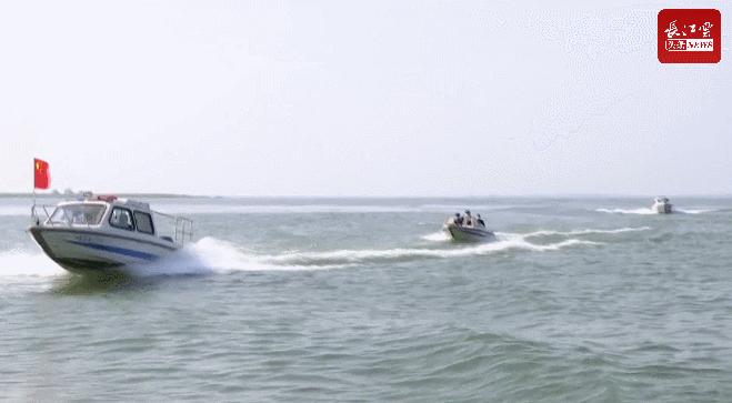 长江土著鱼有哪些,长江土著鱼