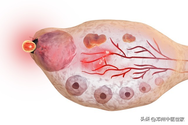 教会女人卵巢保养知识,留住女人的秘诀