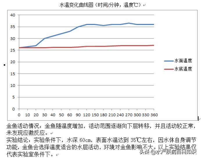 高温天气池塘死鱼是什么原因,天气热怎么预防死鱼