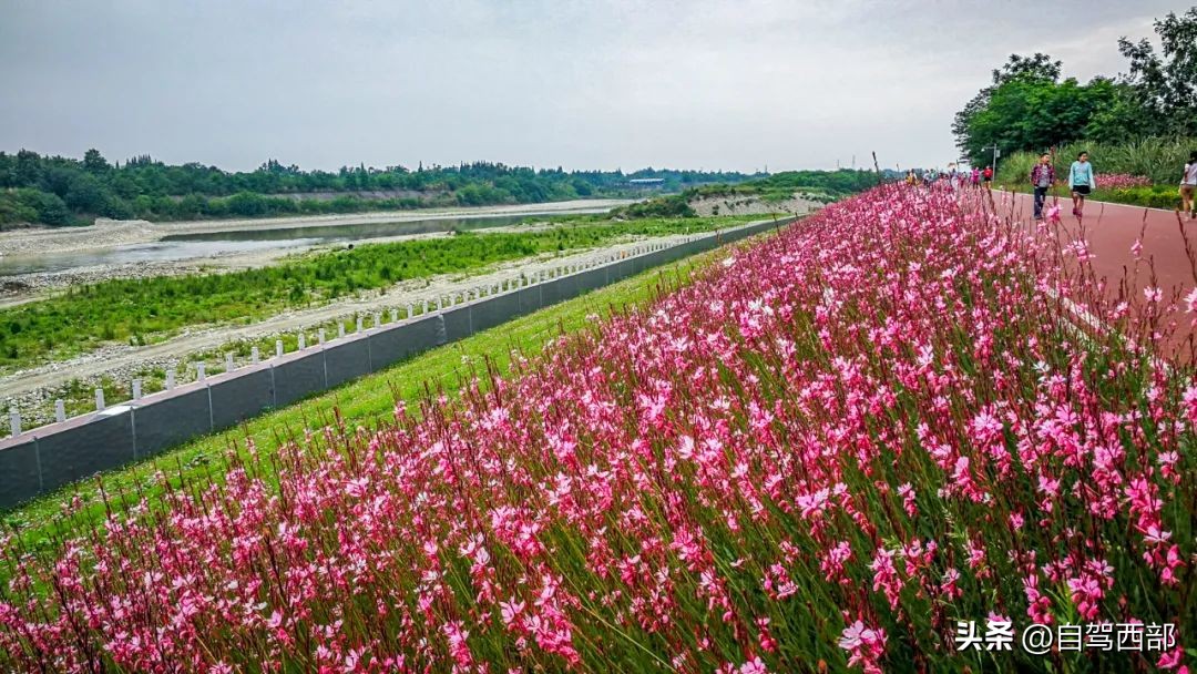 成都兴隆湖湿地公园在哪个区,成都桤木河湿地公园旅游攻略
