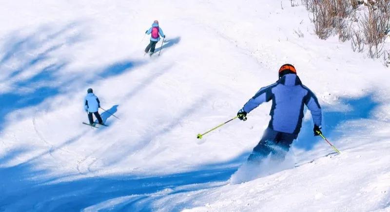 趣研学夏令营,趣研学内容