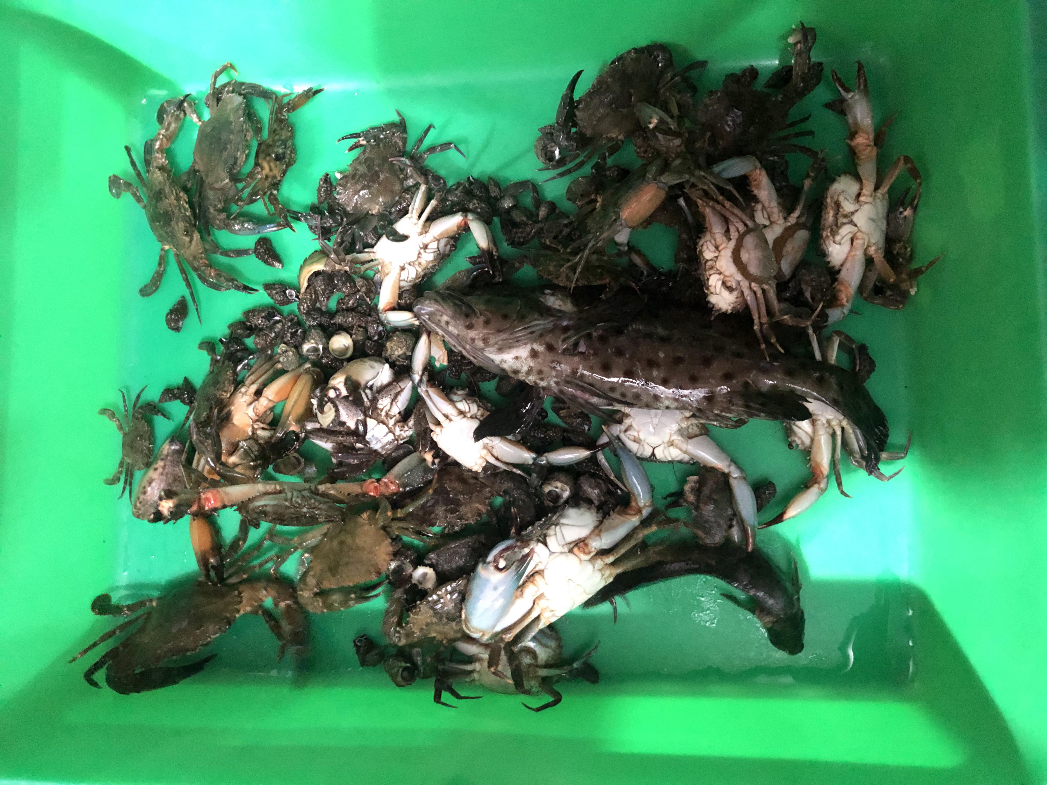 台湾8天7夜环岛行散记,台湾15天自由行攻略