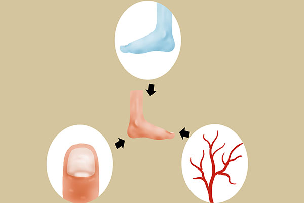 人老脚先衰是什么意思,人老脚先老如何防止脚部衰老