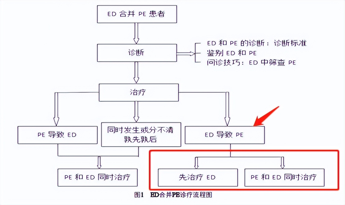 勃起功能障碍药物能与治疗*泄早**的药物一起吃吗？该如何正确服用