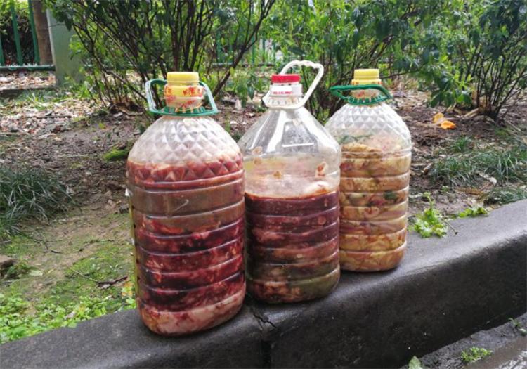 沤肥出现蛆怎样处理掉,沤肥长蛆多久蛆会死