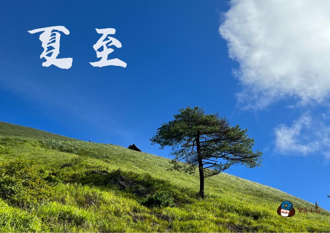 军医小茵个人资料,军医小茵过年视频