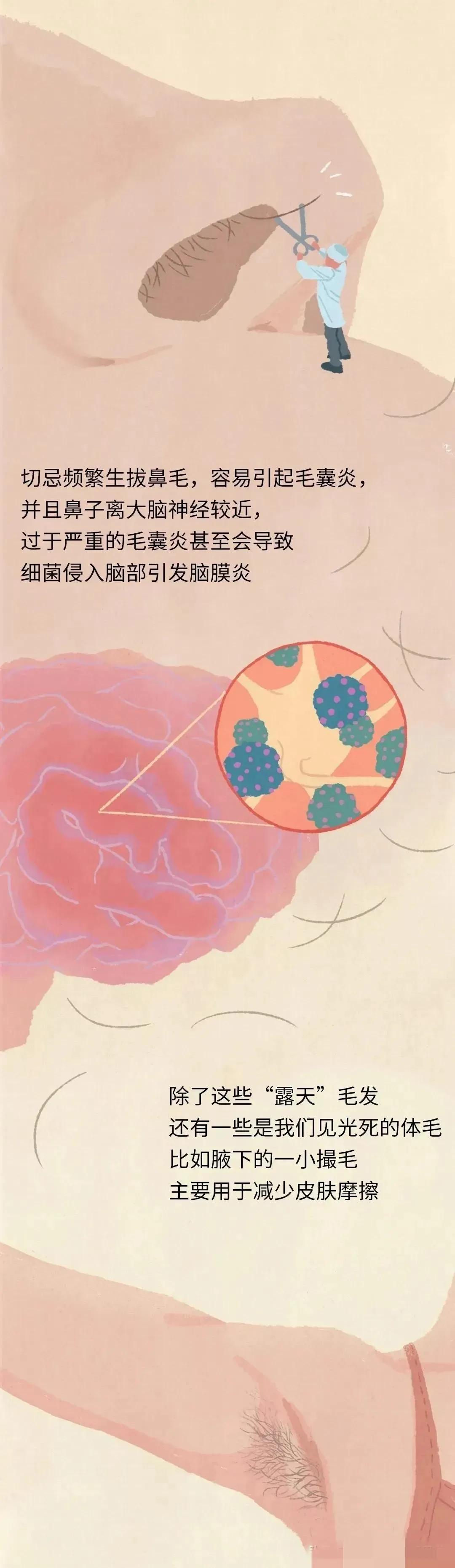 人类的体毛作用,人类的体毛是怎样退化的