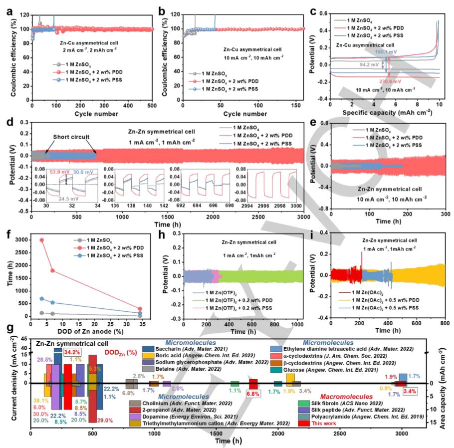 南昌大学陈义旺院士团队:聚阳离子添加剂