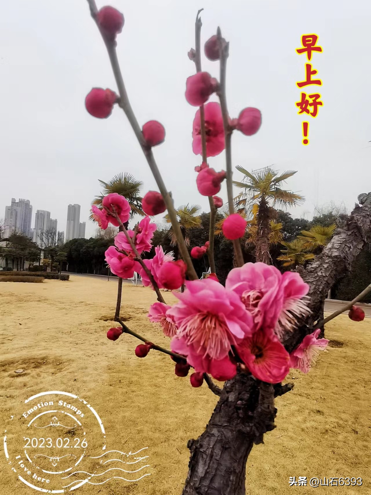 【战友美文】丁献礼“小诗余味”32:《来吧——与我一起种地吧》