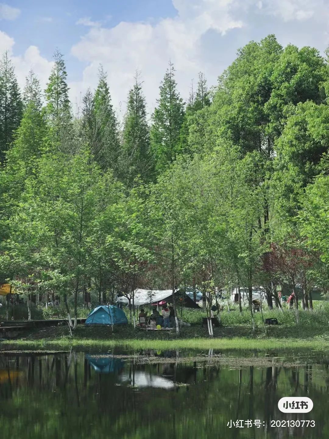 成都免费露营地推荐过夜,成都周边露营地推荐自驾