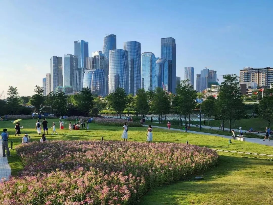 深圳前海跨越式发展,深圳前海潜力与挑战分析