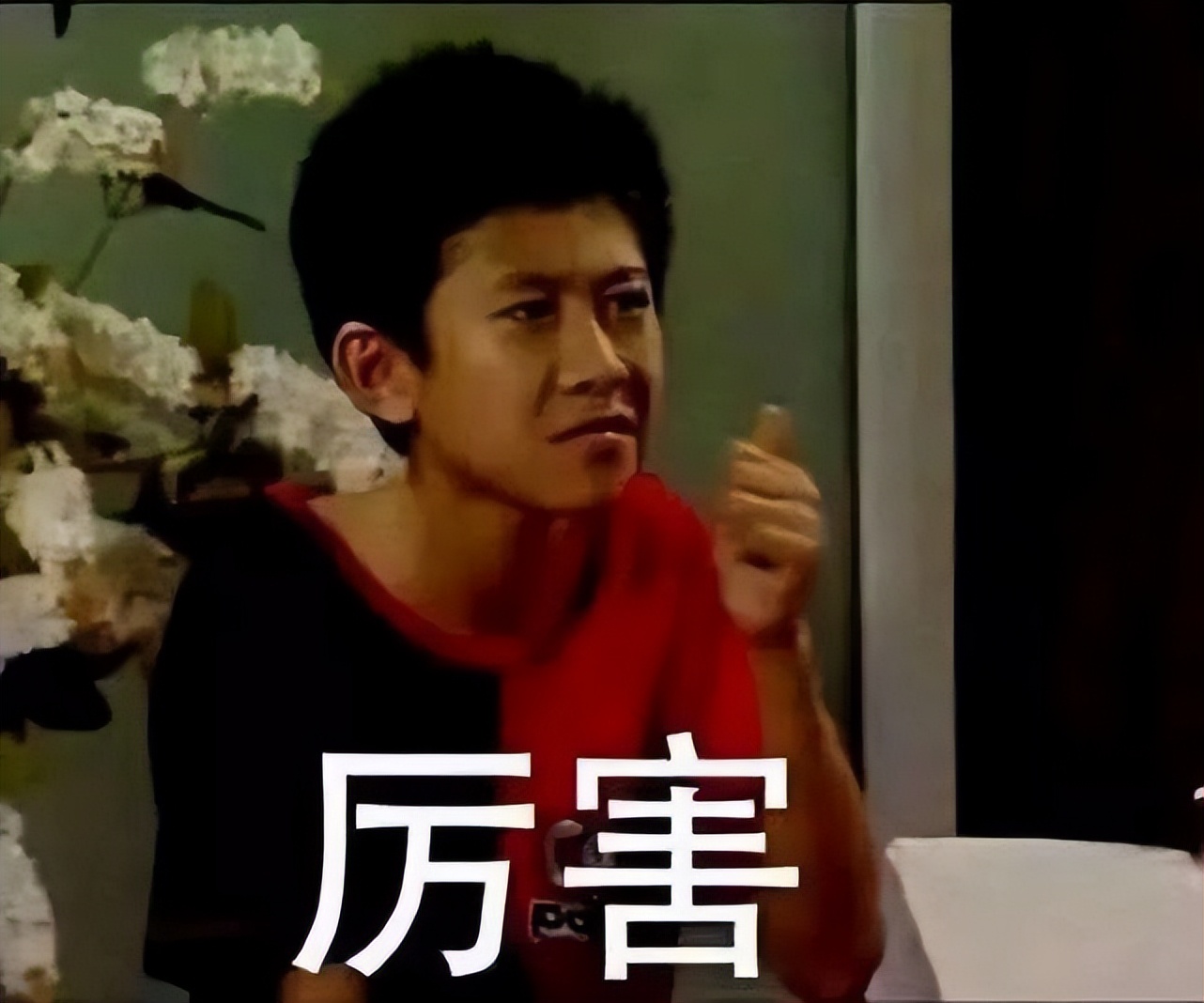 近20年评分高的十部国产电视剧,近三年国产电视剧十大巅峰之作