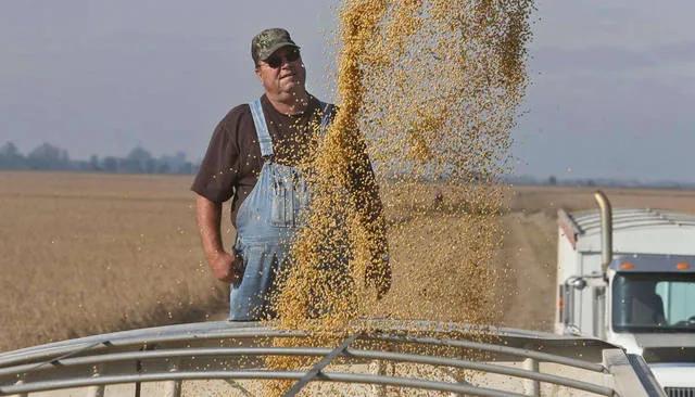 欧盟允许转基因大豆进口吗,美国进口的是转基因大豆吗