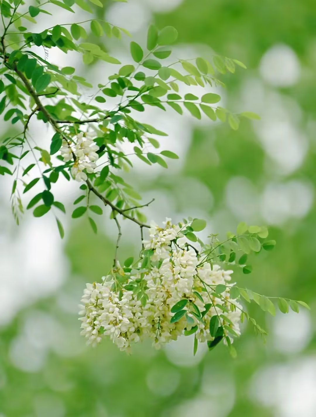 品过人生百味方知人情冷暖,余生不慌不忙不急不躁不悲不喜