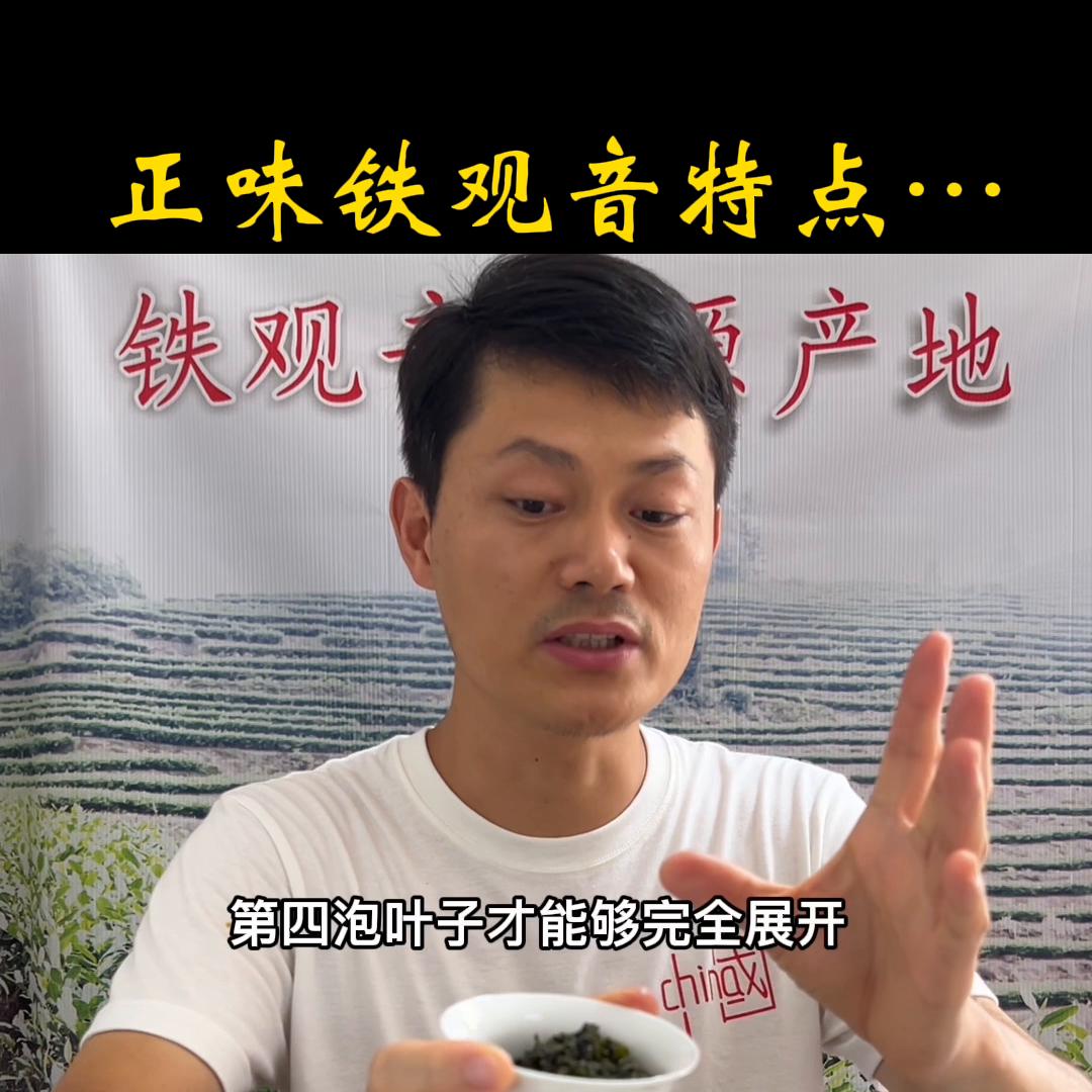 怎么买正味铁观音,铁观音正味跟原味