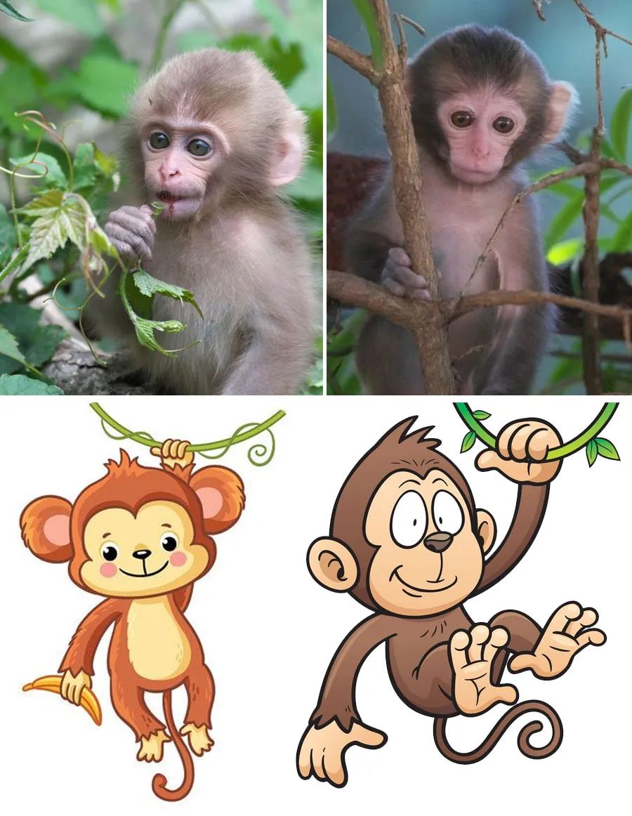 儿童画剪贴创意画教程6到12岁,儿童画猴教程